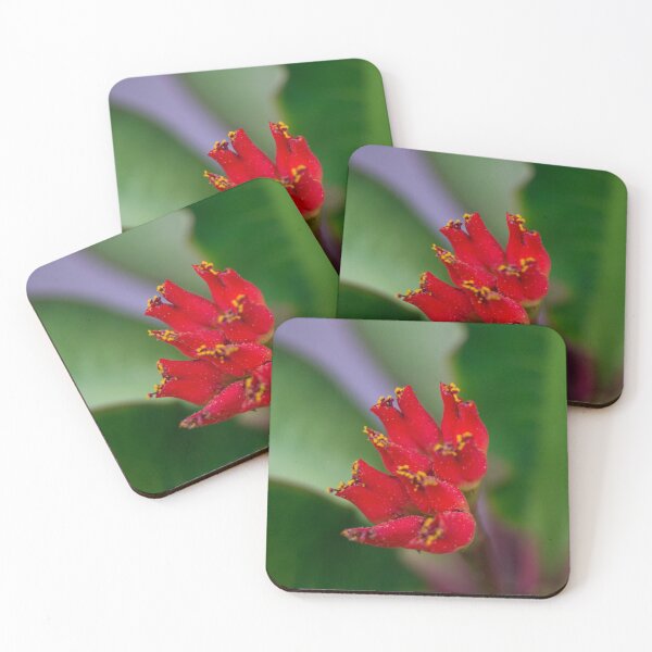 Item preview, Viguier's Spurge designed and sold by ROSE ANN BANILAR.