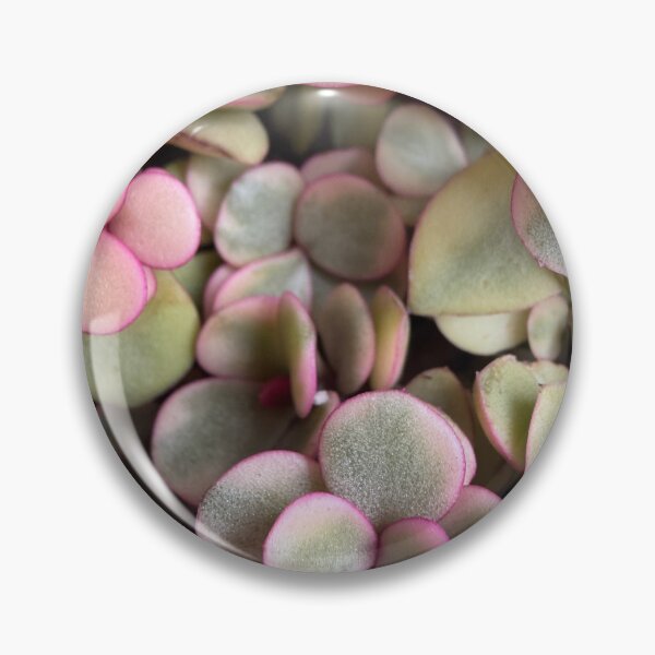 Item preview, Pink to Green designed and sold by Betsy Phillips.