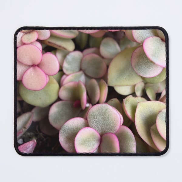 Item preview, Pink to Green designed and sold by Betsy Phillips.