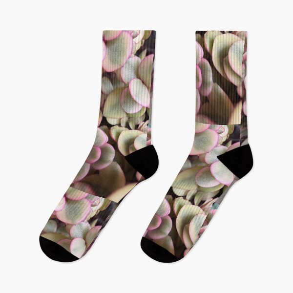 Item preview, Pink to Green designed and sold by Betsy Phillips.