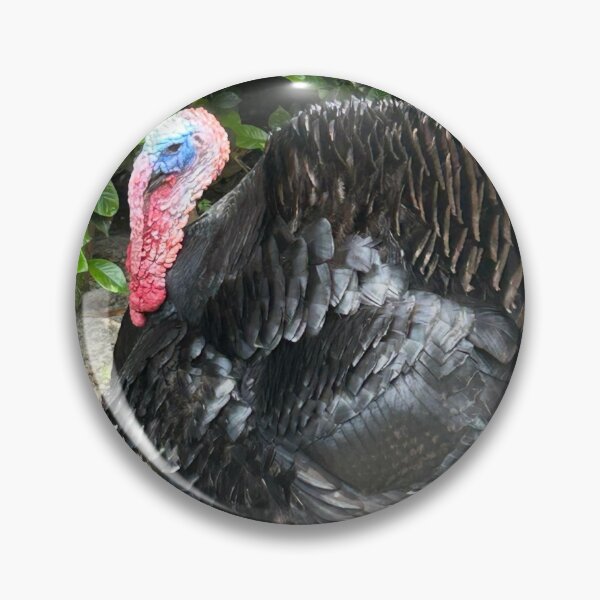 Item preview, Turkeys Roaming the Countryside. designed and sold by Pearls1.