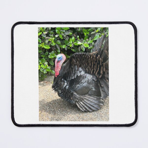 Item preview, Turkeys Roaming the Countryside. designed and sold by Pearls1.