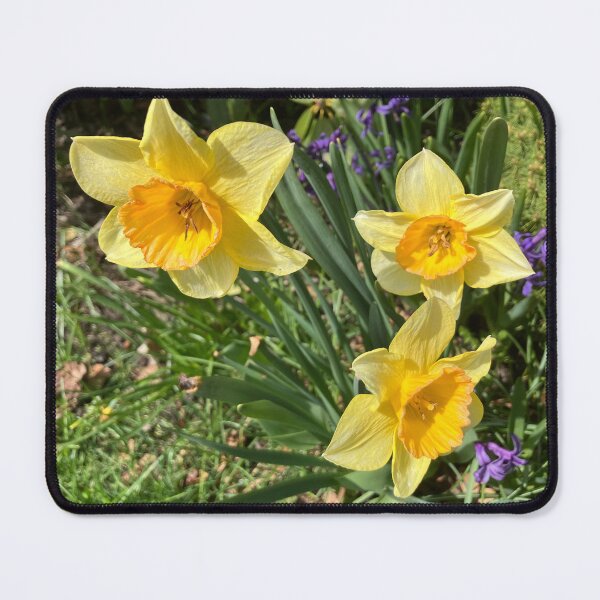 Item preview, Spring Flowers designed and sold by Amanda1775.