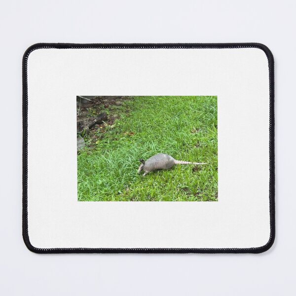 Item preview, Armadillo Foraging in the Wild. designed and sold by Pearls1.