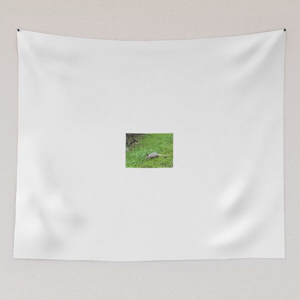 Item preview, Armadillo Foraging in the Wild. designed and sold by Pearls1.