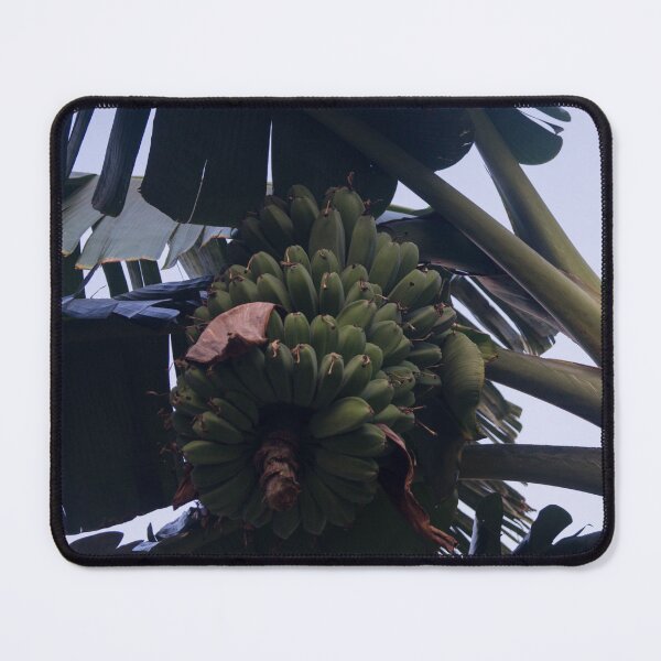 Item preview, Saba banana designed and sold by ROSE ANN BANILAR.