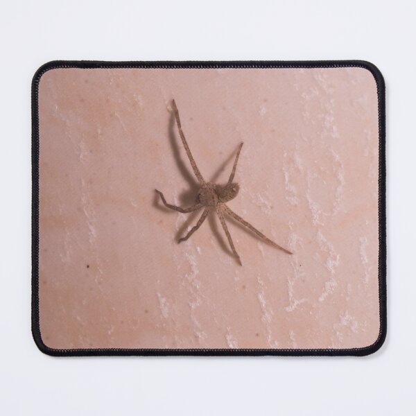Item preview, Huntsman Spider_03 designed and sold by ROSE ANN BANILAR.