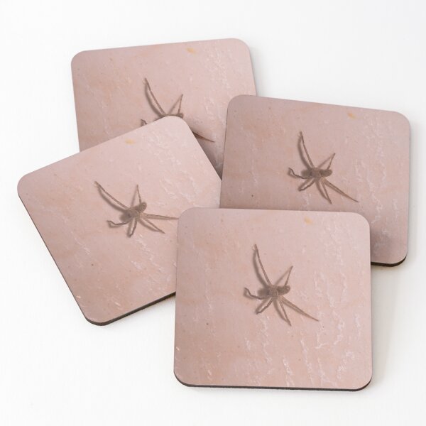 Item preview, Huntsman Spider_03 designed and sold by ROSE ANN BANILAR.
