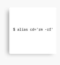 Don't Drink & Code Canvas Print
