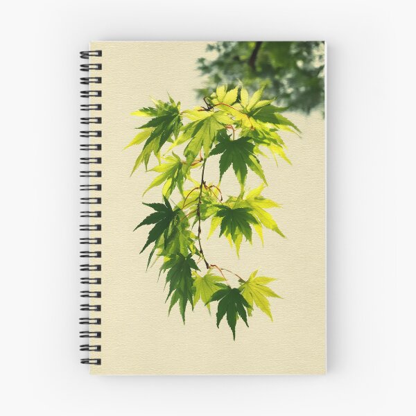 Item preview, Spring Maple Leaf Art Print | Japanese Botanical Wall Art | Fresh Green Japandi Decor | New Leaves Print designed and sold by yugenprint.