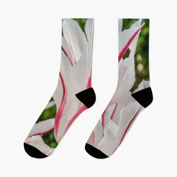 Item preview, Marilyn Pink and White Tulip Flower designed and sold by Vicky Brago-Mitchell®.