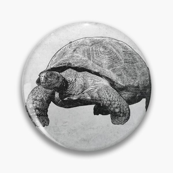 Item preview, Galapagos Giant Tortoise Natural History Wildlife Art  designed and sold by Ghoul Enterprises.