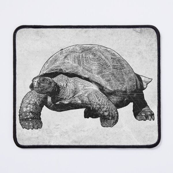 Item preview, Galapagos Giant Tortoise Natural History Wildlife Art  designed and sold by Ghoul Enterprises.