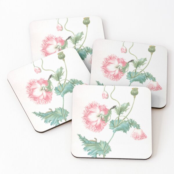 Item preview, Poppy Life Cycle Study | Vintage Entomology designed and sold by GammaRay.