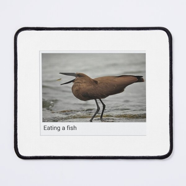 Item preview, Eating a Fish designed and sold by Roubyn.