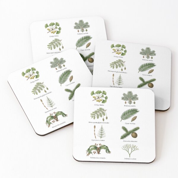 Item preview, Living Fossil Plants designed and sold by ArunDandiboina.