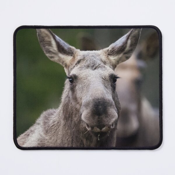 Item preview, The big moose designed and sold by ByMarielle.
