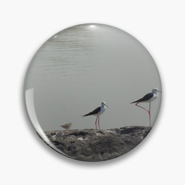 Item preview, Birds standing in queue  designed and sold by nkcreation2020.
