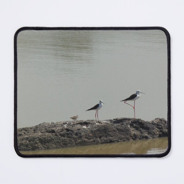 Item preview, Birds standing in queue  designed and sold by nkcreation2020.