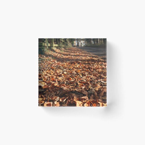 Item preview, path of fallen leaves designed and sold by Murph's Images.