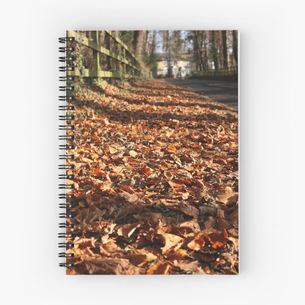 Item preview, path of fallen leaves designed and sold by Murph's Images.