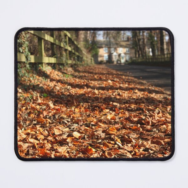 Item preview, path of fallen leaves designed and sold by Murph's Images.
