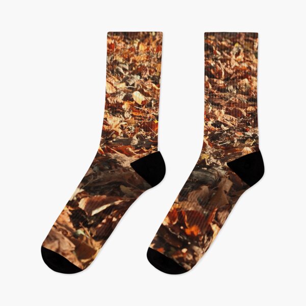 Item preview, path of fallen leaves designed and sold by Murph's Images.