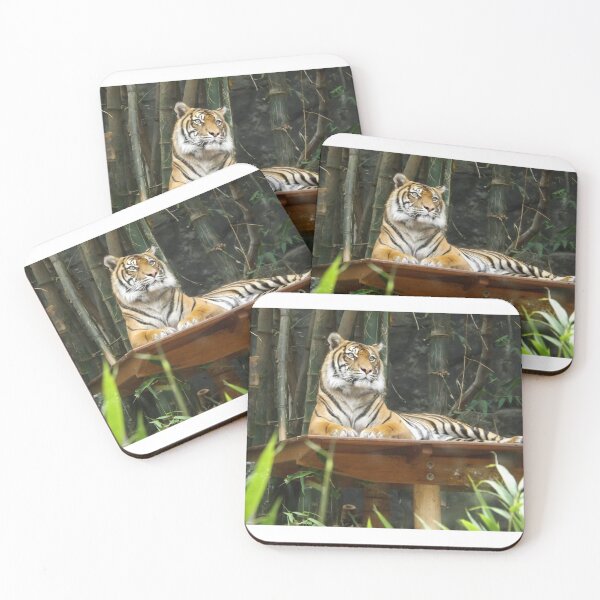 Item preview, Tigre en el zoológico de Australia en Sídney designed and sold by TimMerch4U.