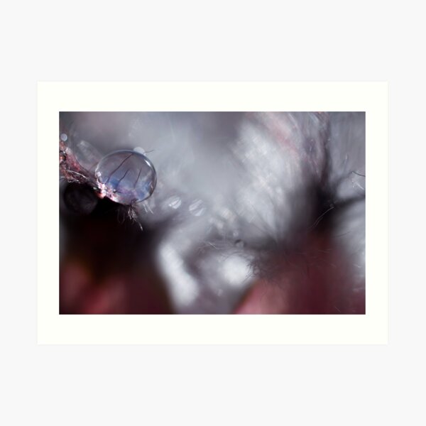 Hairs In A Drop Art Print