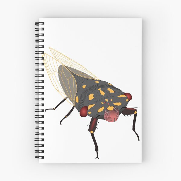 Item preview, Cherrynose cicada (no text) designed and sold by cicadarama.