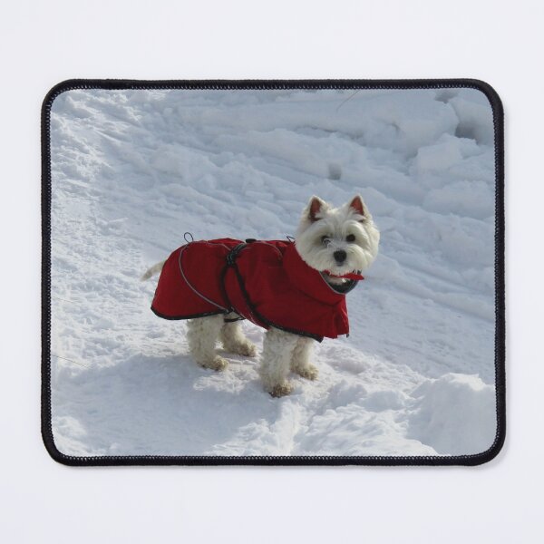 Item preview, Cute beautiful westie dog designed and sold by Ribster13.