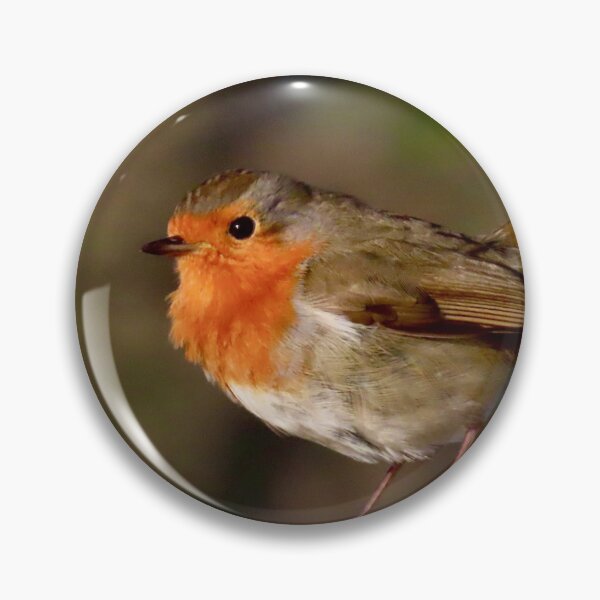 Item preview, Cute bird the Robin red breast  designed and sold by Ribster13.