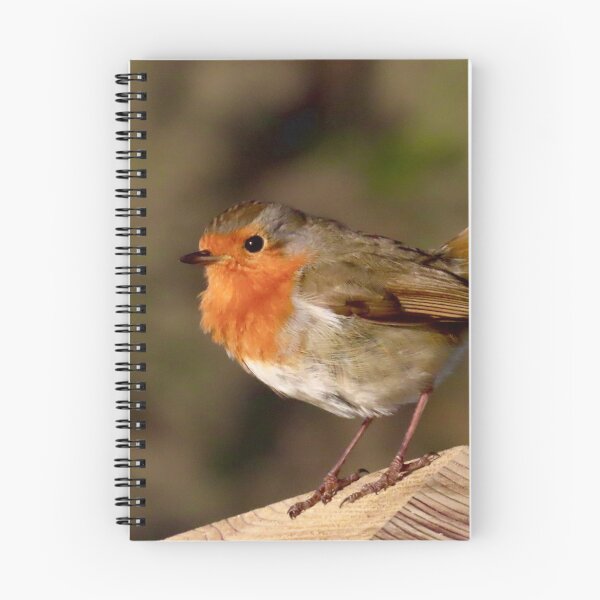 Item preview, Cute bird the Robin red breast  designed and sold by Ribster13.