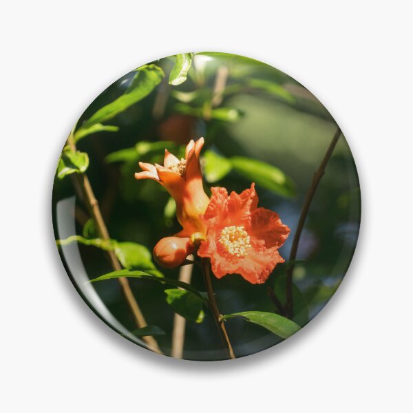 Item preview, Pomegranate Flower Bud and Baby Fruit in Hot Sunlight designed and sold by Georgia Mizuleva.
