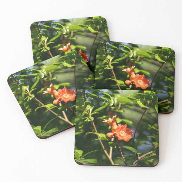 Item preview, Pomegranate Flower Bud and Baby Fruit in Hot Sunlight designed and sold by Georgia Mizuleva.