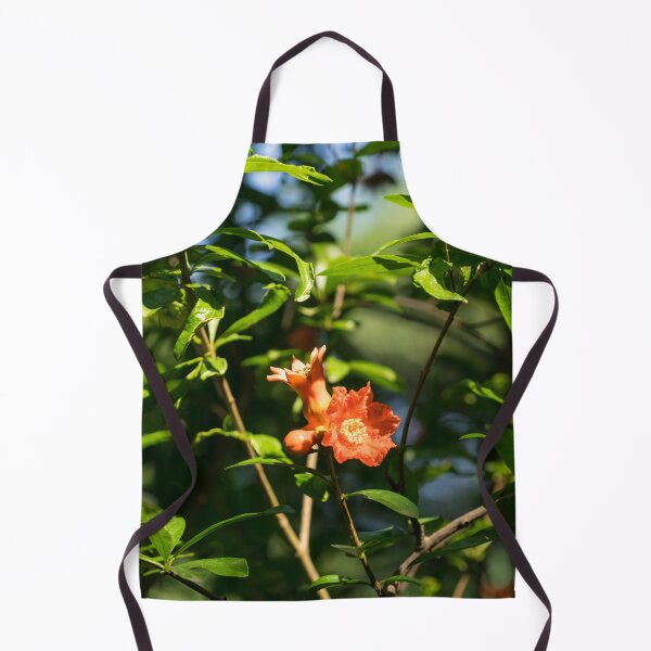Item preview, Pomegranate Flower Bud and Baby Fruit in Hot Sunlight designed and sold by Georgia Mizuleva.