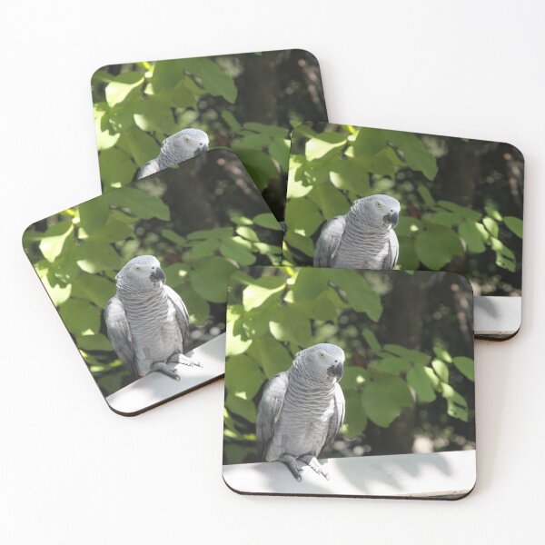 Item preview, African Grey Parrot Portrait — Wildlife Bird Photography Print designed and sold by Tornadogod.