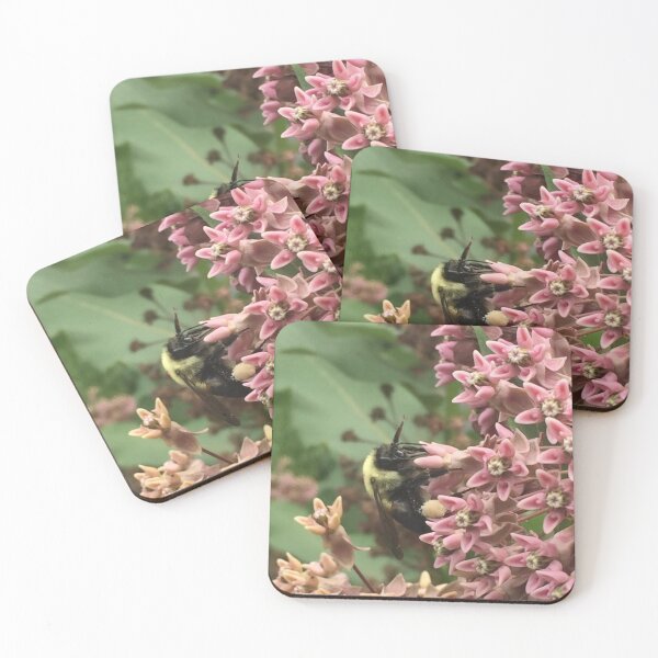 Item preview, Bumble Bee on Common Milkweed designed and sold by CrowCottage51.