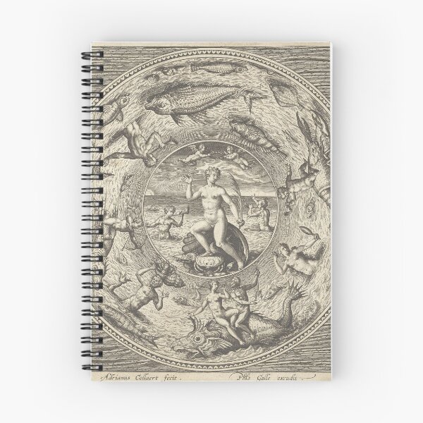 Item preview, Collaert Galatea On Shell | Marine Life designed and sold by GammaRay.