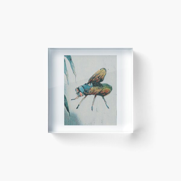 Item preview, A fly on a landing approach designed and sold by SalomeMendoza.