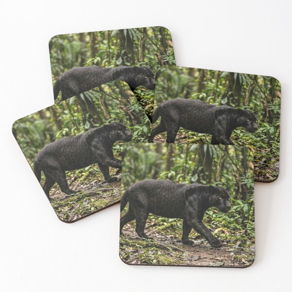 Item preview, Black panther walking in the forest. designed and sold by Malisa345.