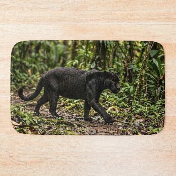 Item preview, Black panther walking in the forest. designed and sold by Malisa345.