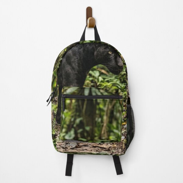 Item preview, Black panther walking in the forest. designed and sold by Malisa345.