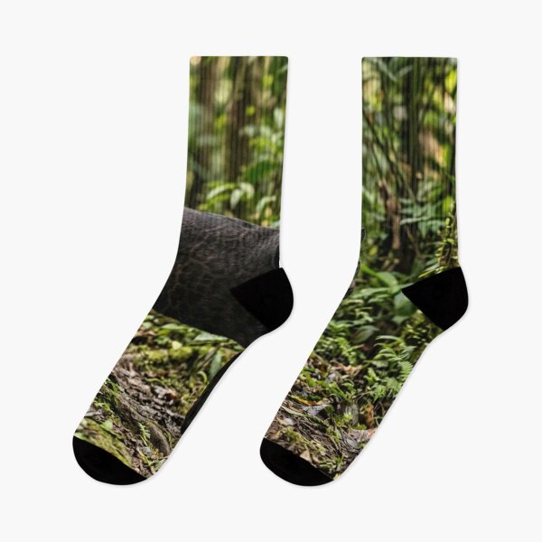 Item preview, Black panther walking in the forest. designed and sold by Malisa345.