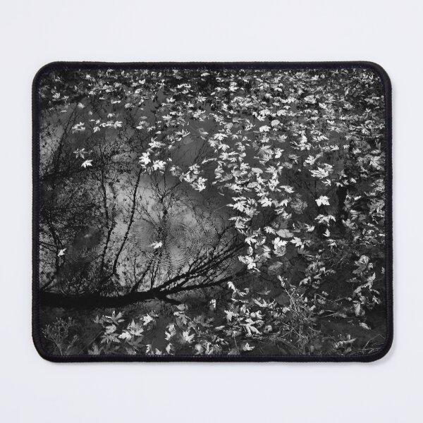 Item preview, Silver Maple Reflection Monochrome designed and sold by Wayne King.