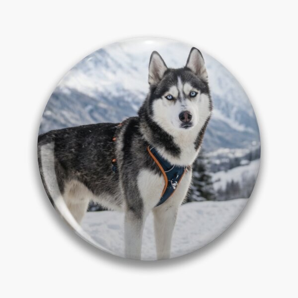 Item preview, Husky in the snowy mountains. designed and sold by Malisa345.