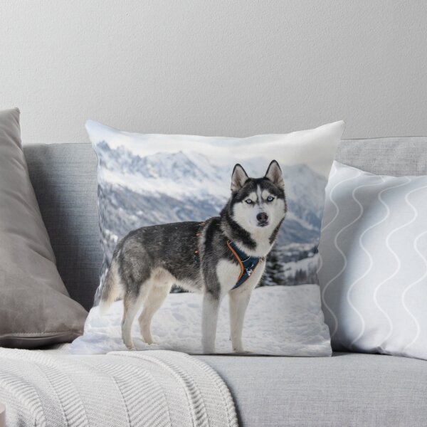 Item preview, Husky in the snowy mountains. designed and sold by Malisa345.