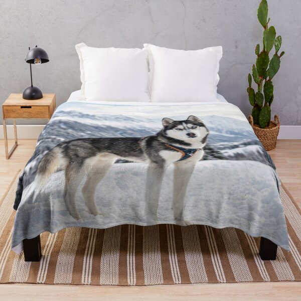 Item preview, Husky in the snowy mountains. designed and sold by Malisa345.