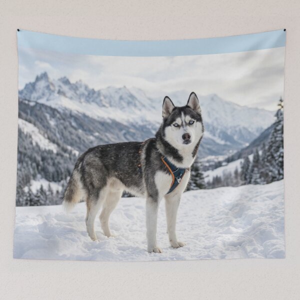 Item preview, Husky in the snowy mountains. designed and sold by Malisa345.