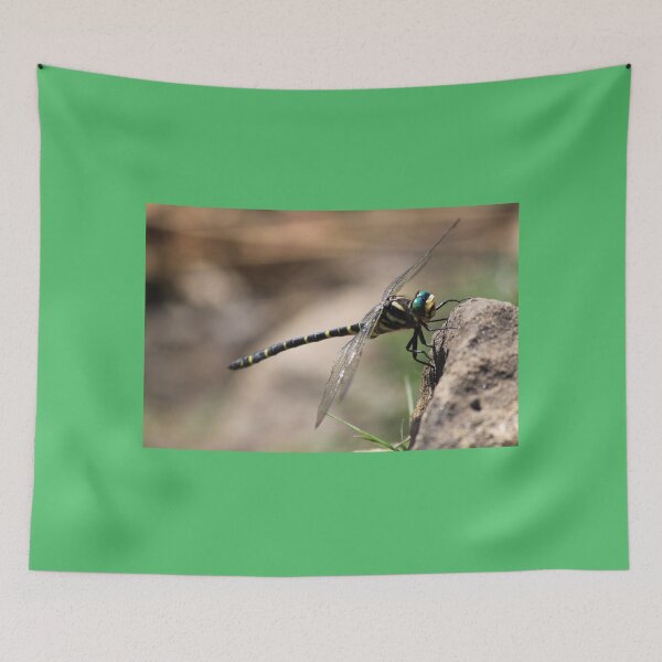 Item preview, Yellow, black and green dragonfly designed and sold by derbyshireduck.